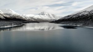 Vaikuttavuus hankinnoissa -verkkokoulutus